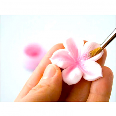 Пищевой краситель цветочная пыльца Розовая 5 гр.