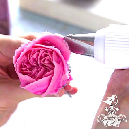 Кондитерская насадка 123 Tulip прорезь 17 мм, лепесток розы изогнутый Кондитерская насадка 123 Tulip прорезь 17 мм, лепесток розы изогнутый